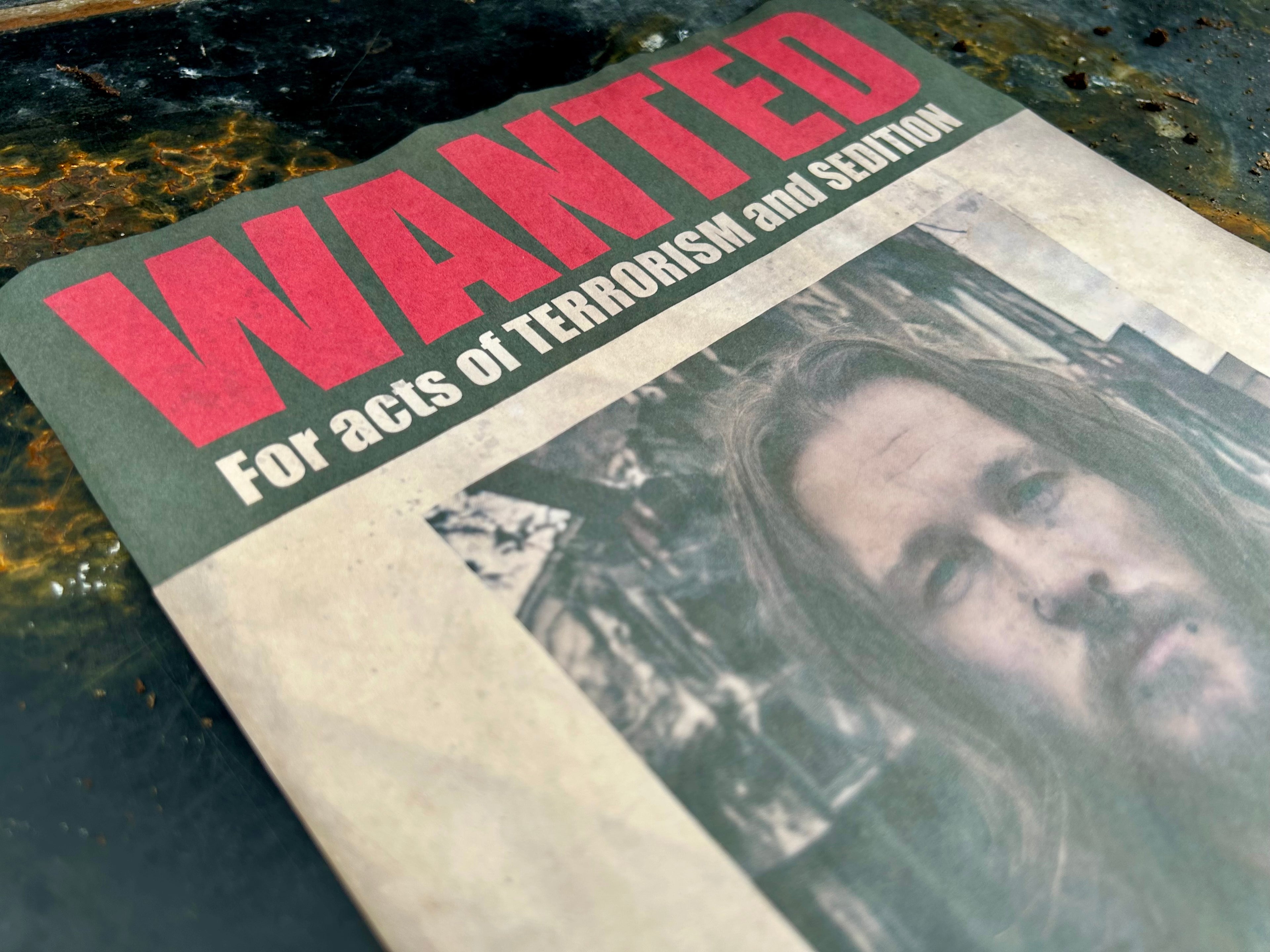 Custom - Wanted Poster