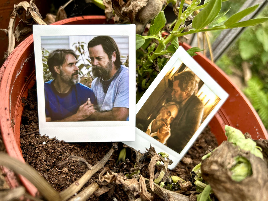 What If? - Polaroids (TV Series)