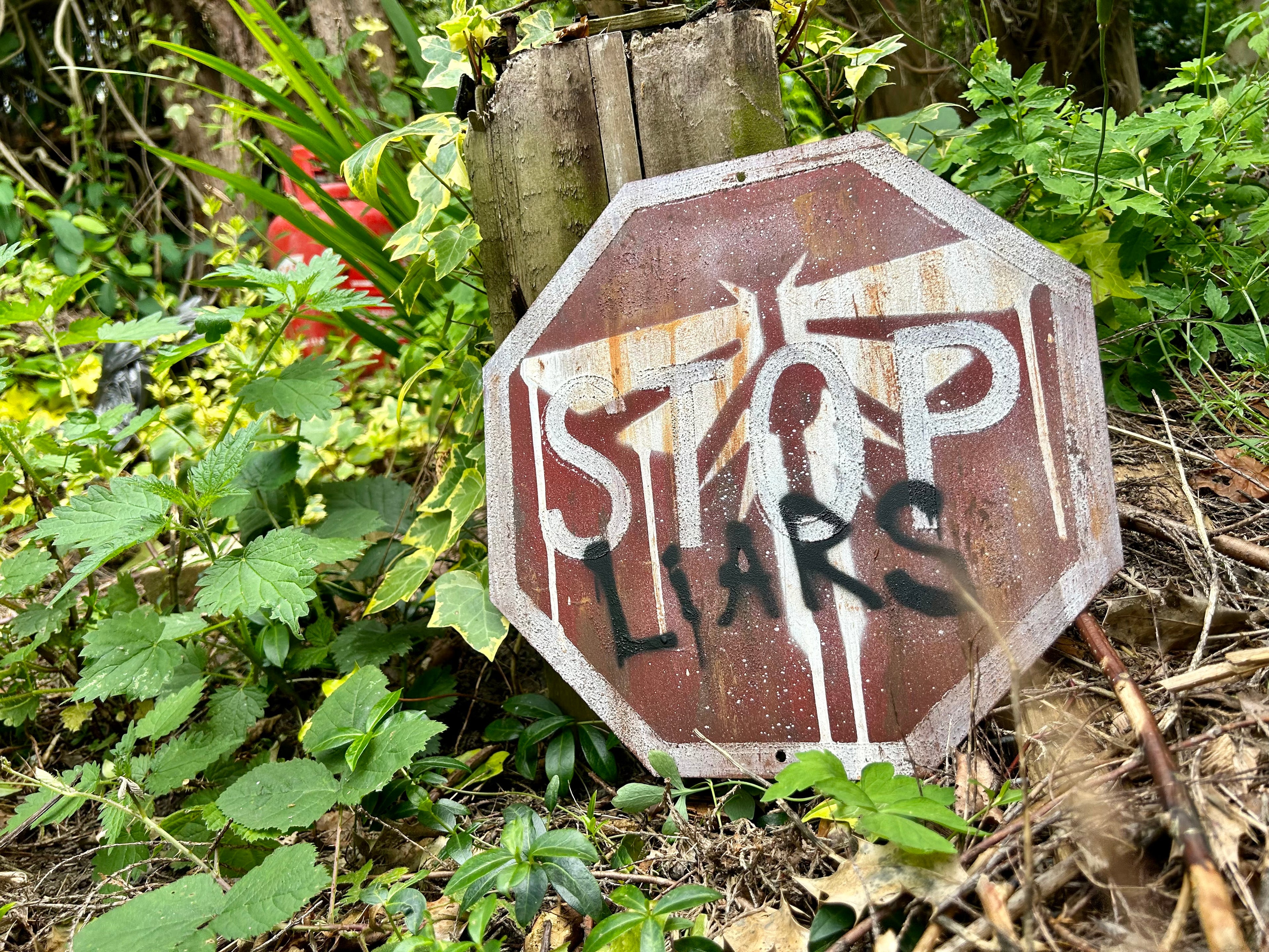 The Liars Sign