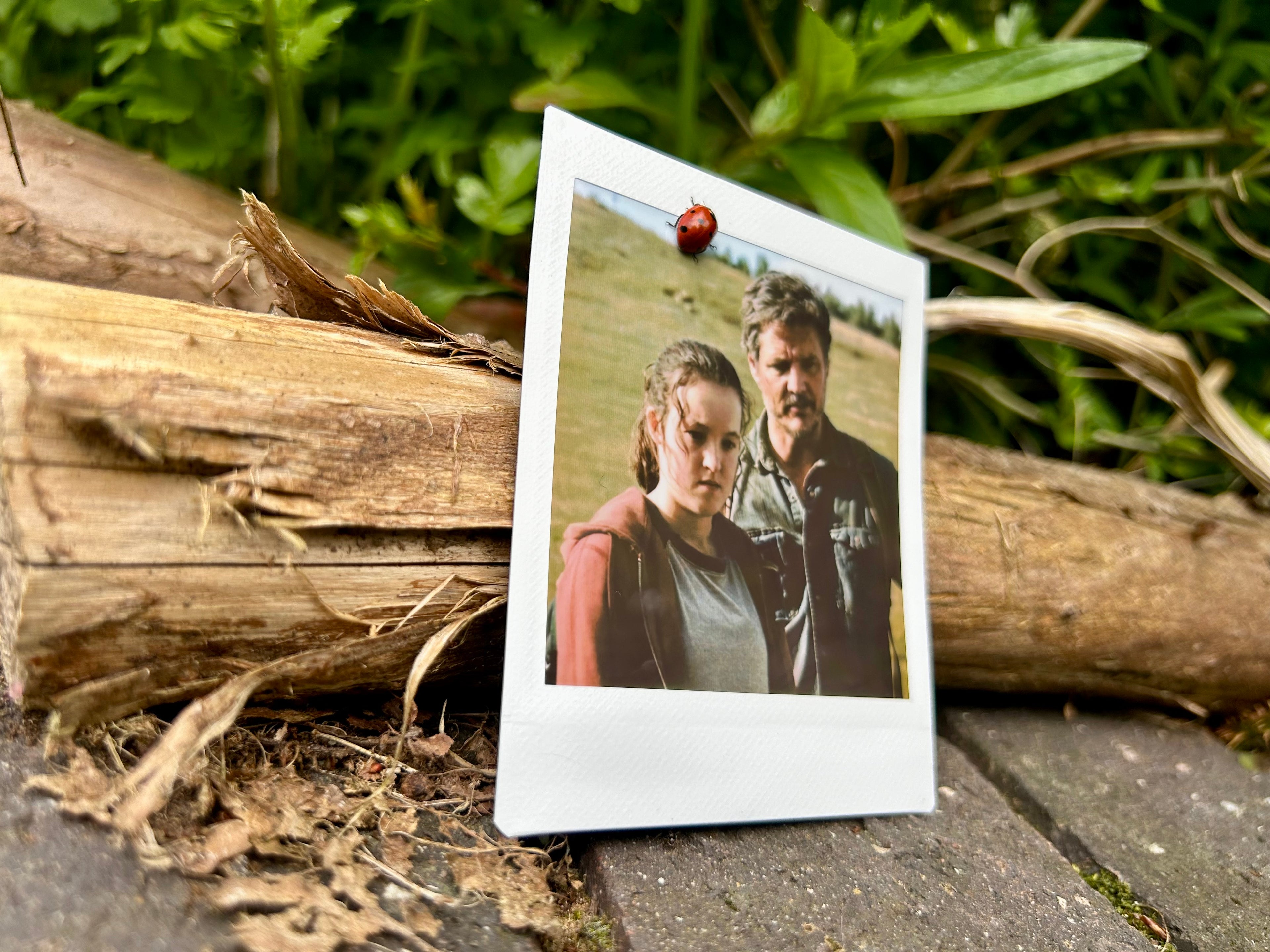“It Was Him Or Me” - Polaroid (TV Series)