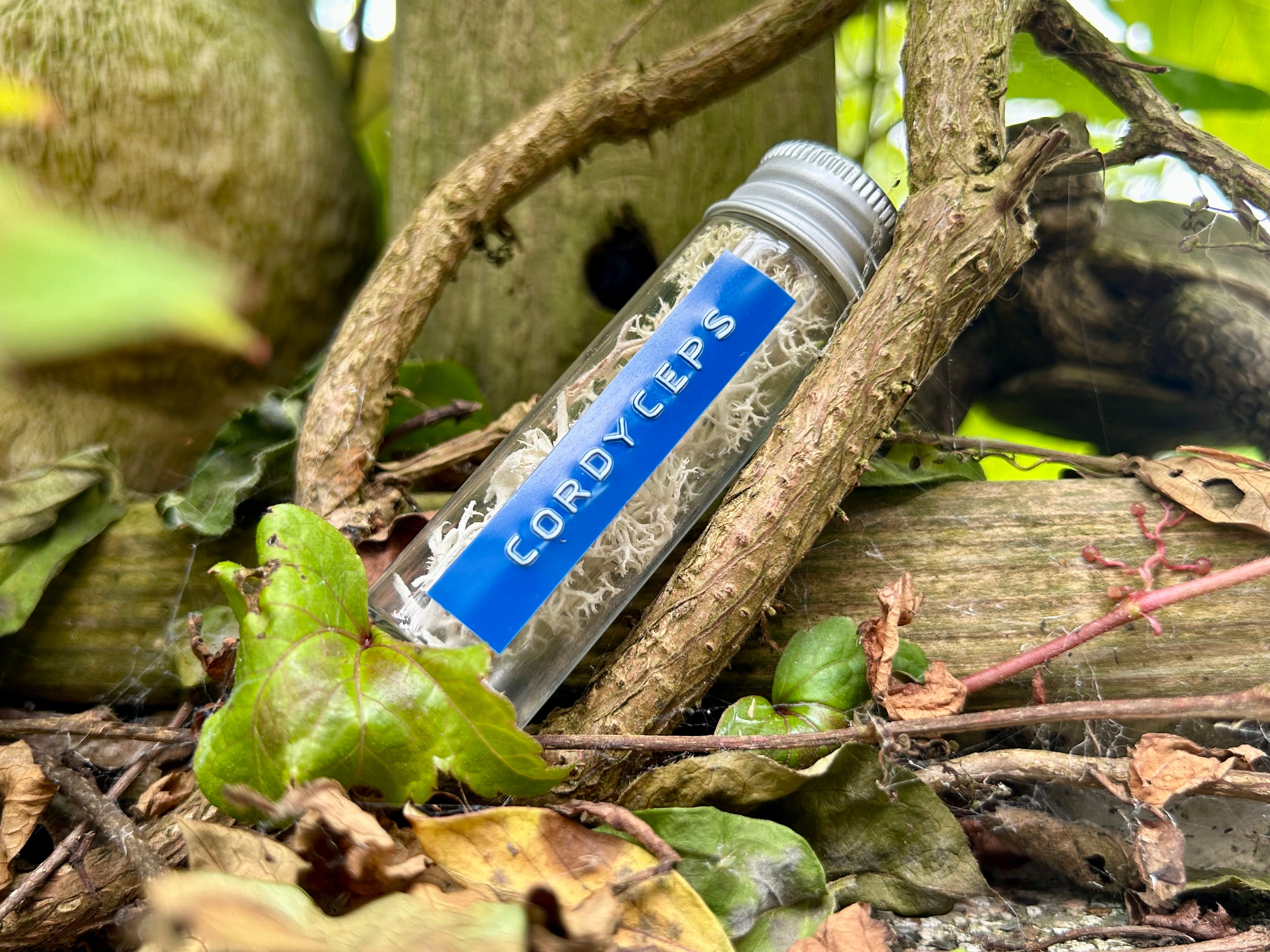 Fungus Sample Prop