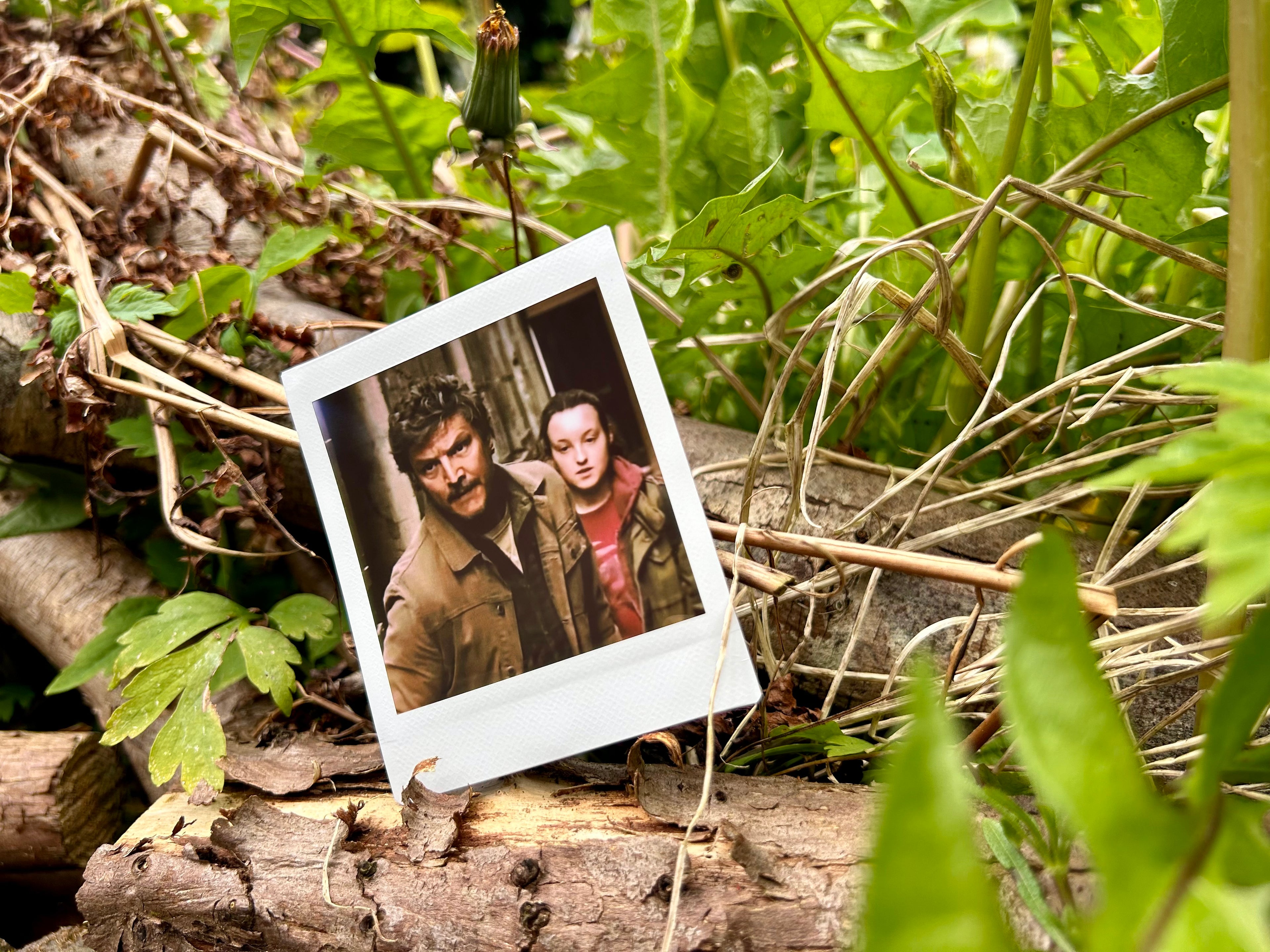 “What You Say Goes” - Polaroid (TV Series)