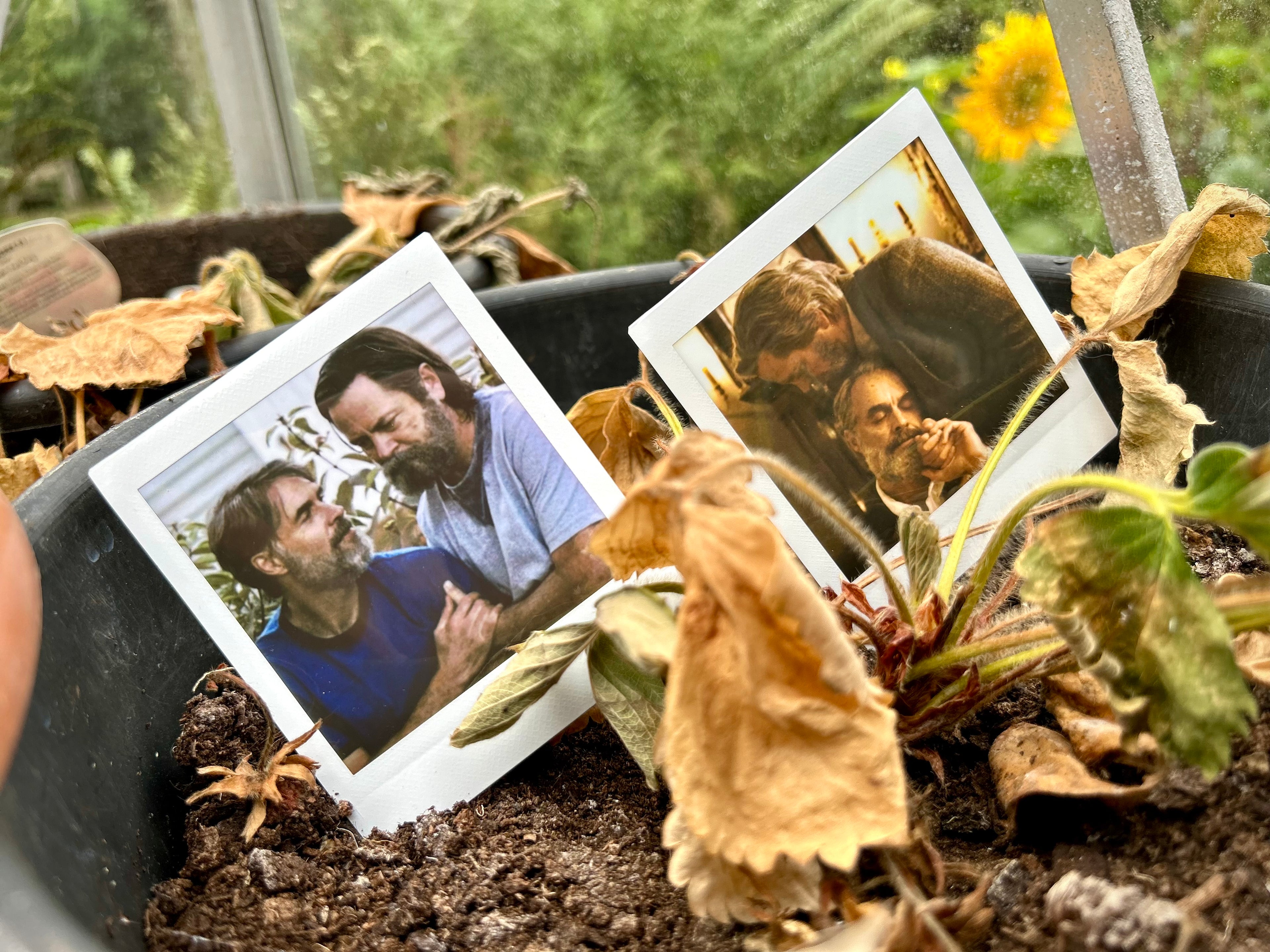 What If? - Polaroids (TV Series)