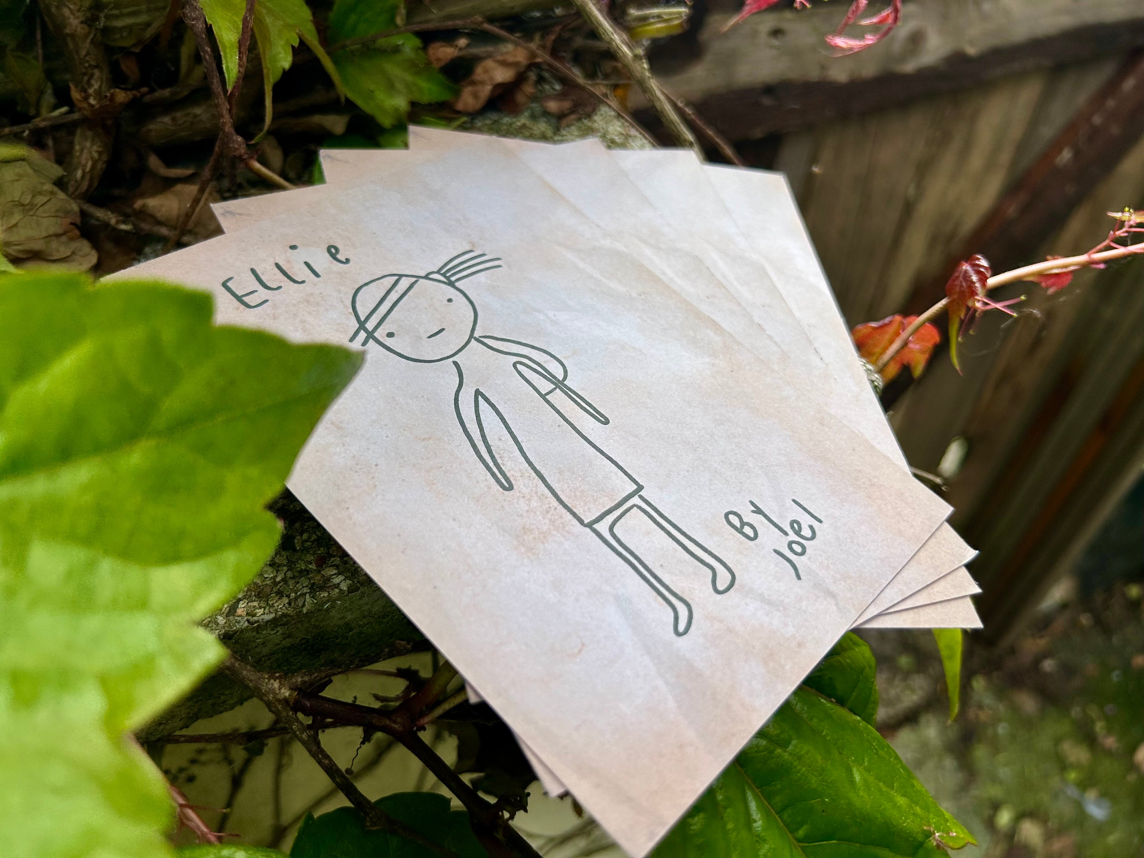 Drawing - Print