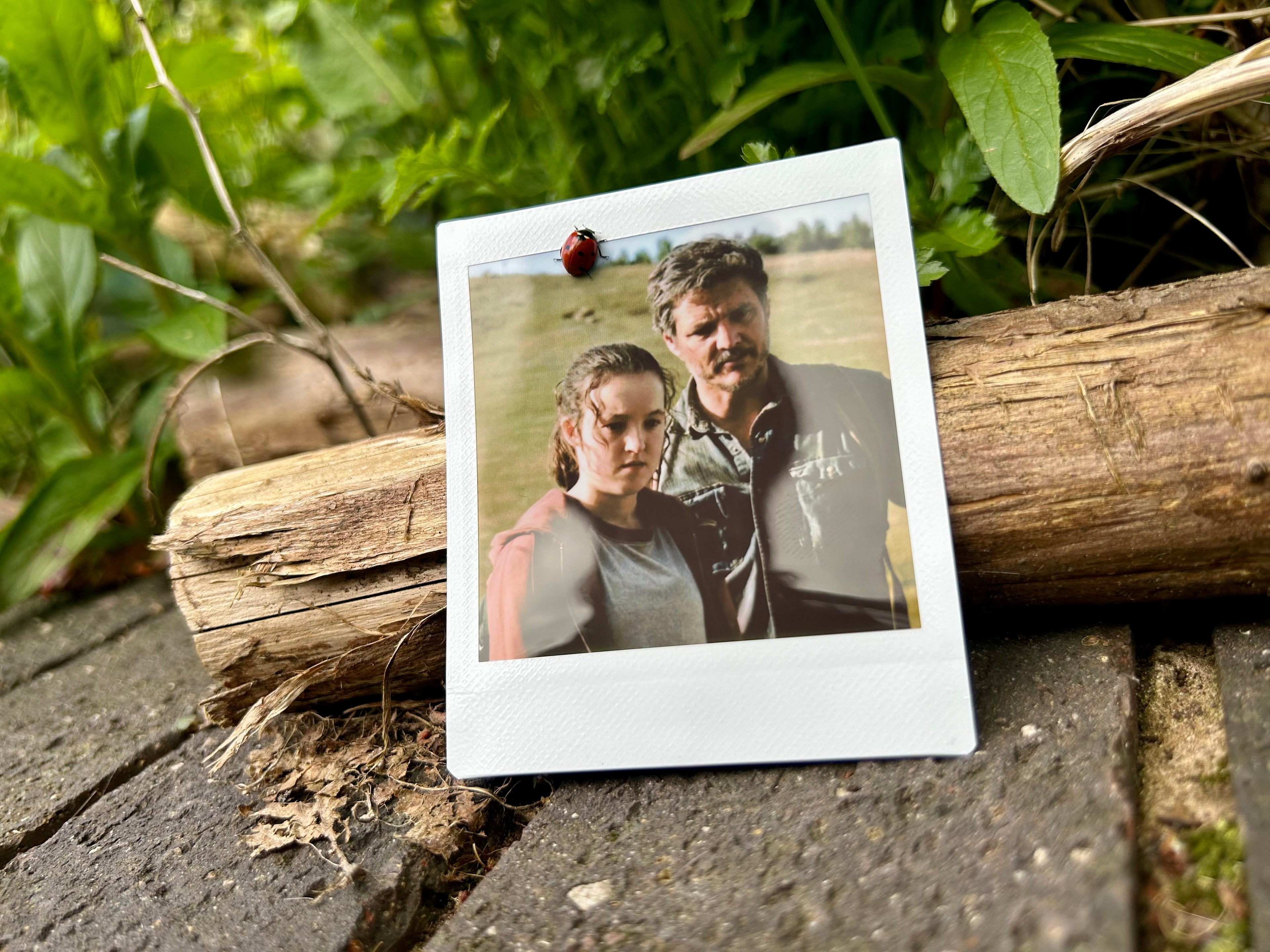 “It Was Him Or Me” - Polaroid (TV Series)