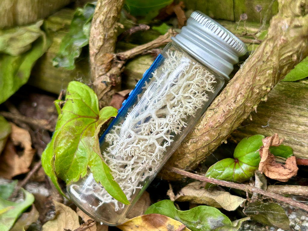 Fungus Sample Prop