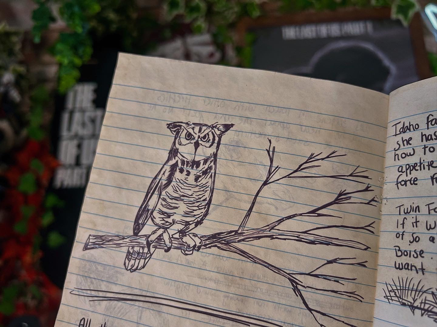 The Journal