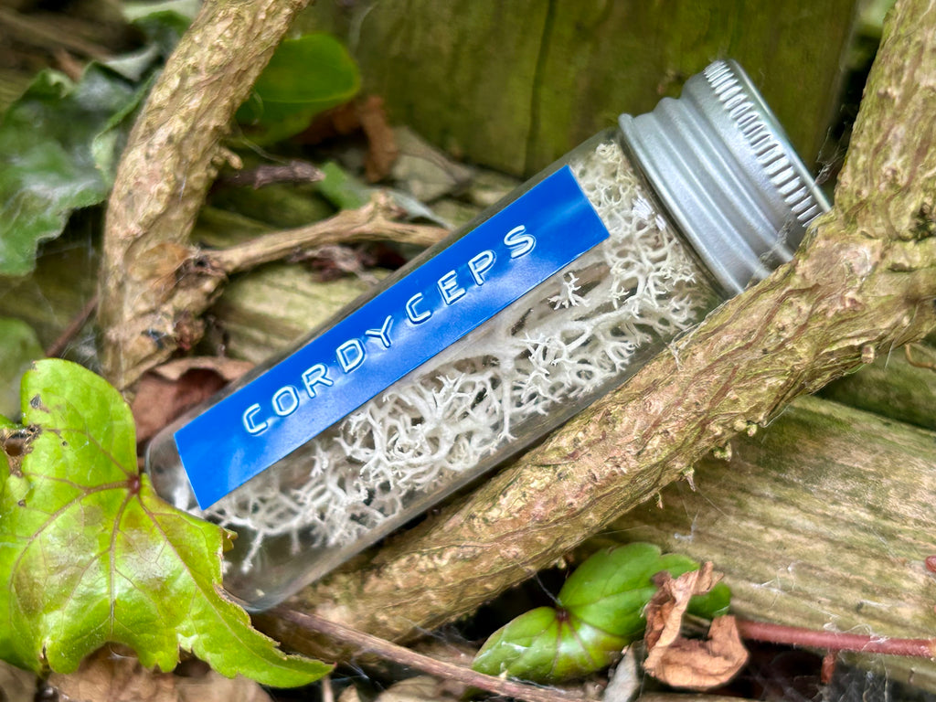 Fungus Sample Prop