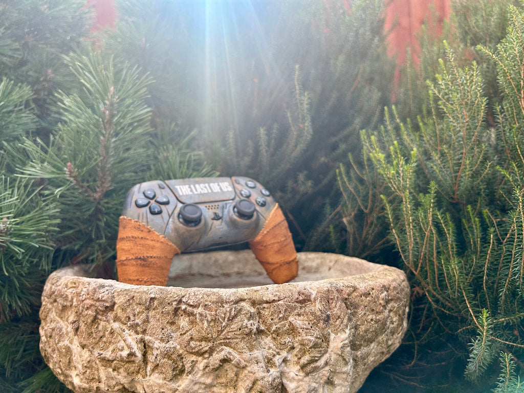 The Custom Controller (Preorder)