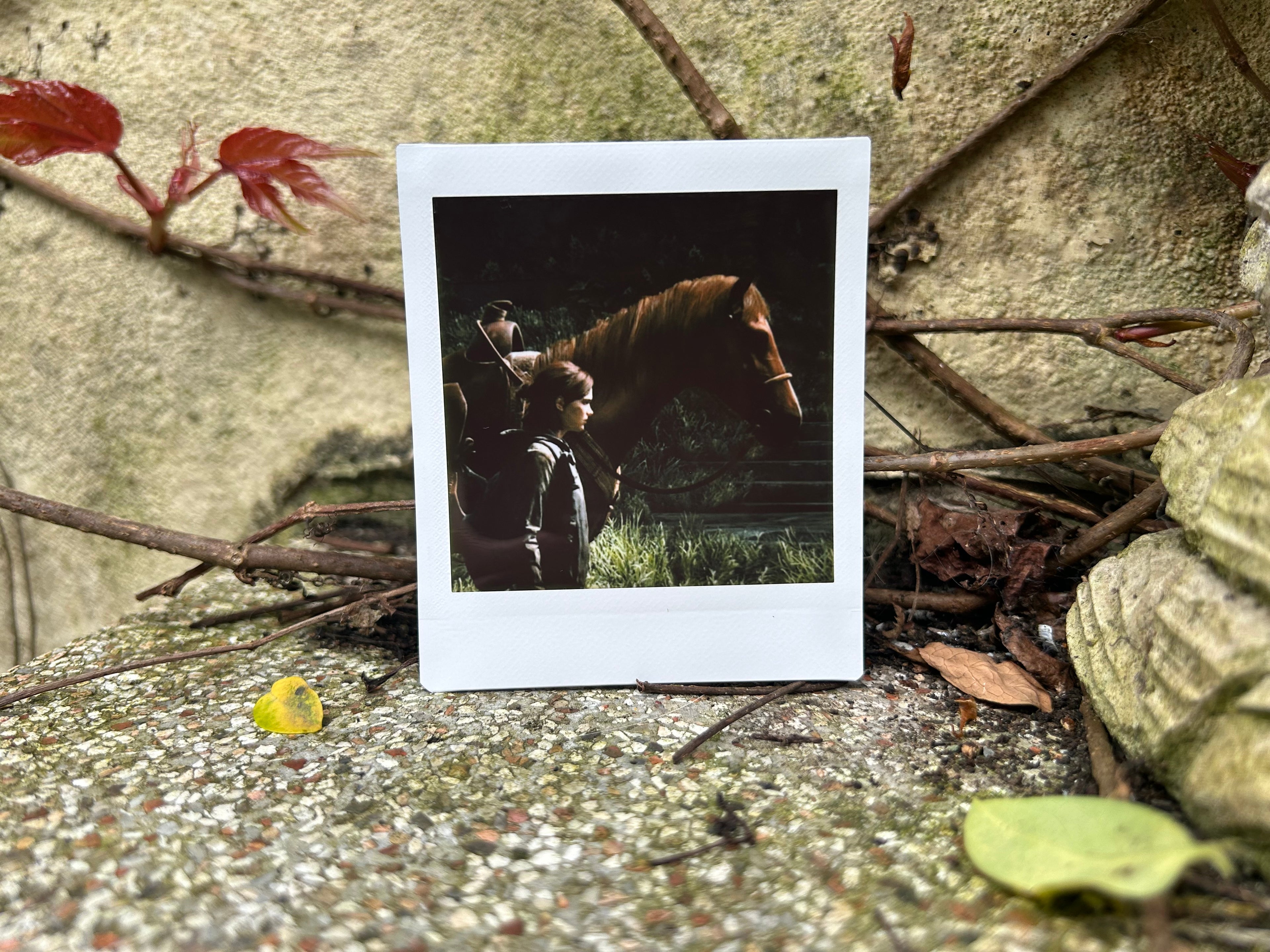 “Patrol” - Polaroid