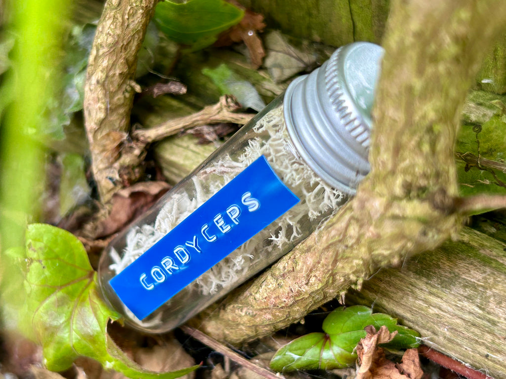 Fungus Sample Prop
