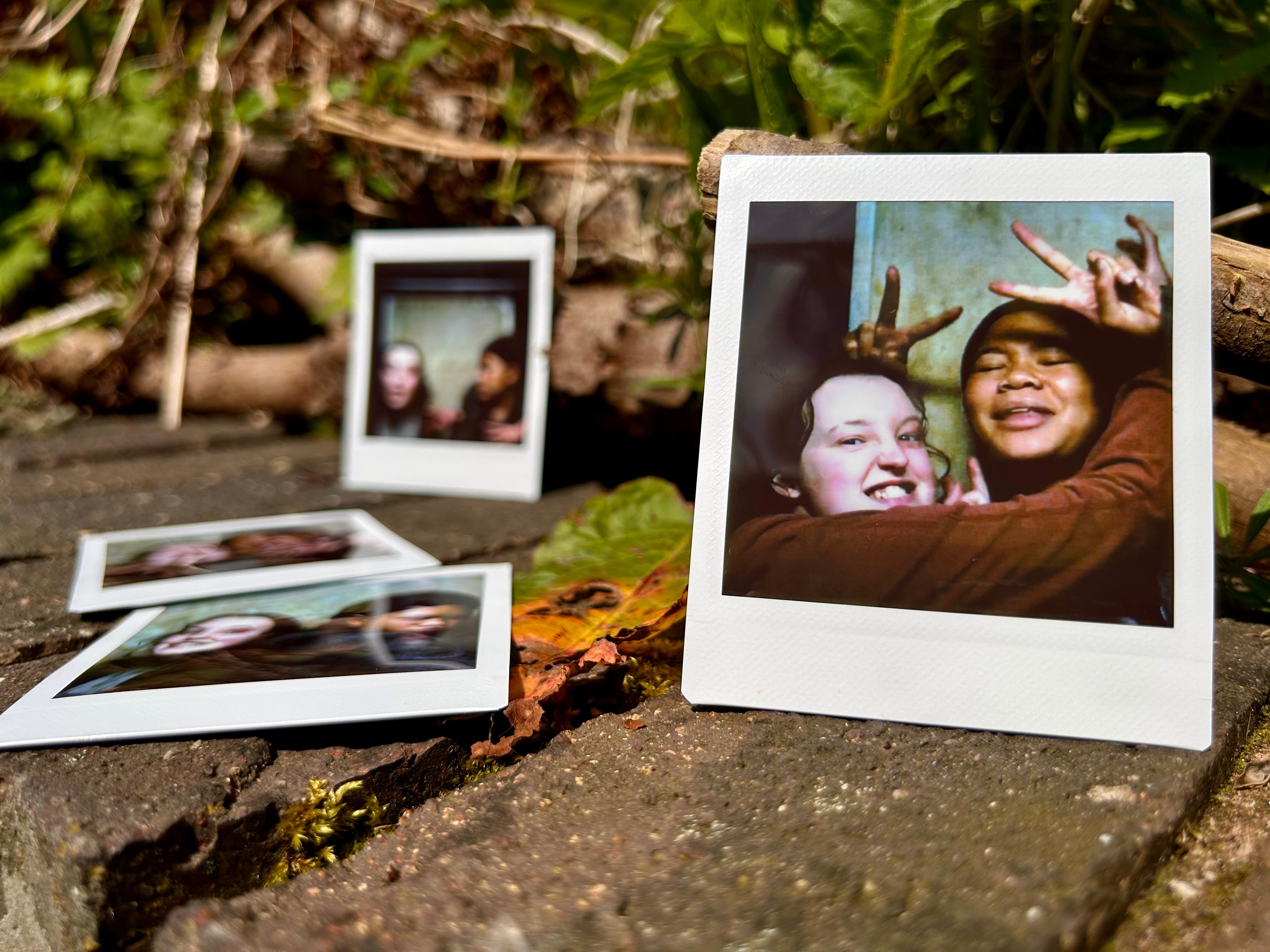 Bunny Ears - Polaroid (TV Series)