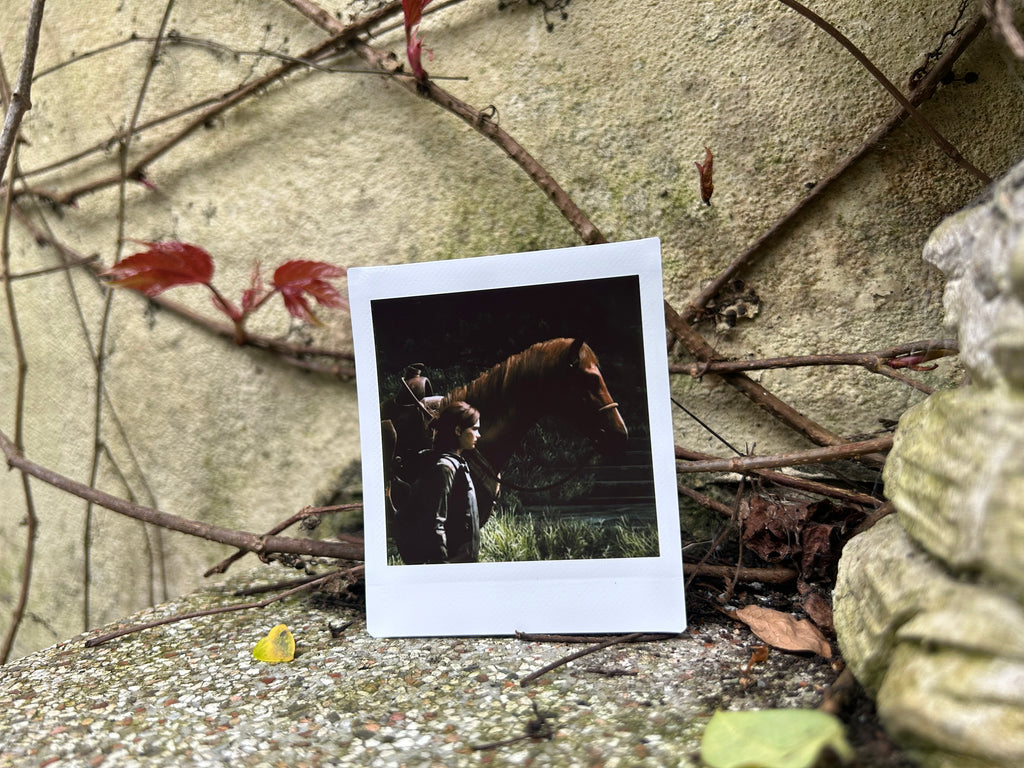 “Patrol” - Polaroid