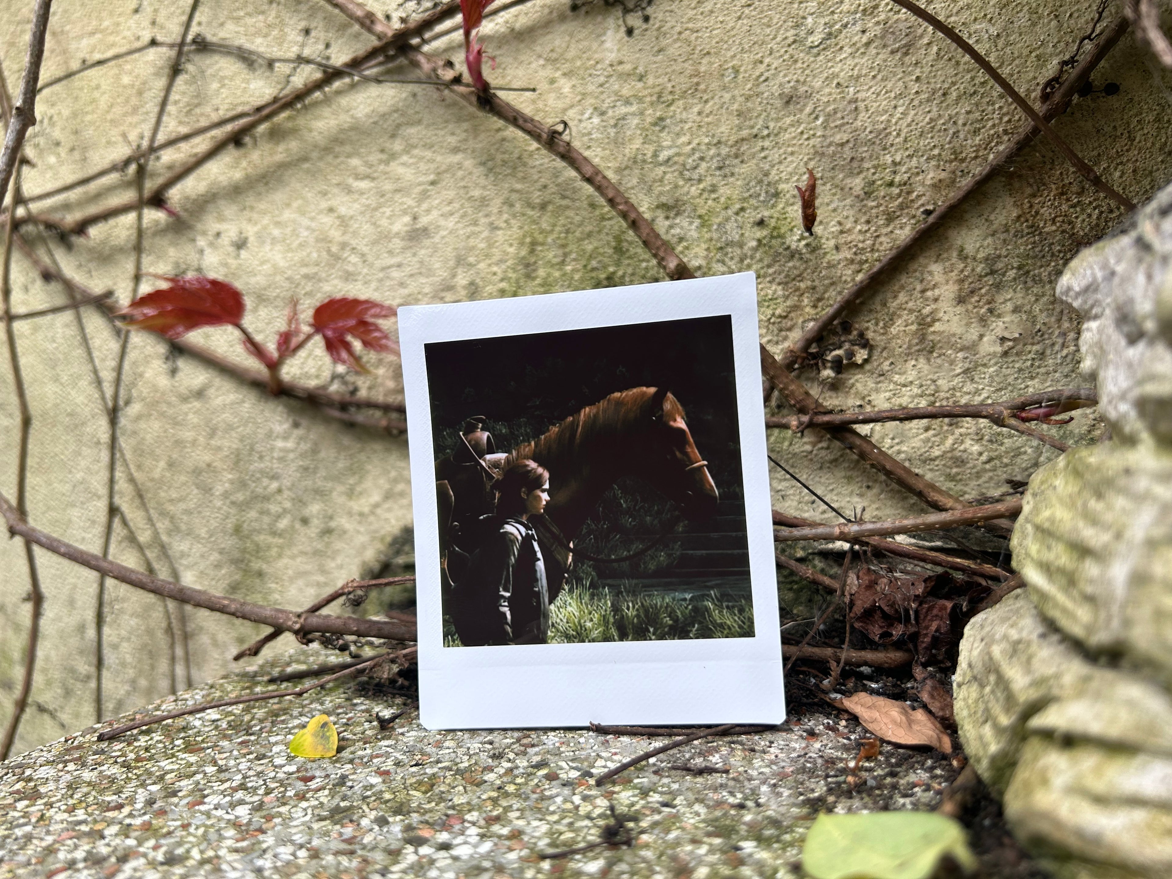 “Patrol” - Polaroid