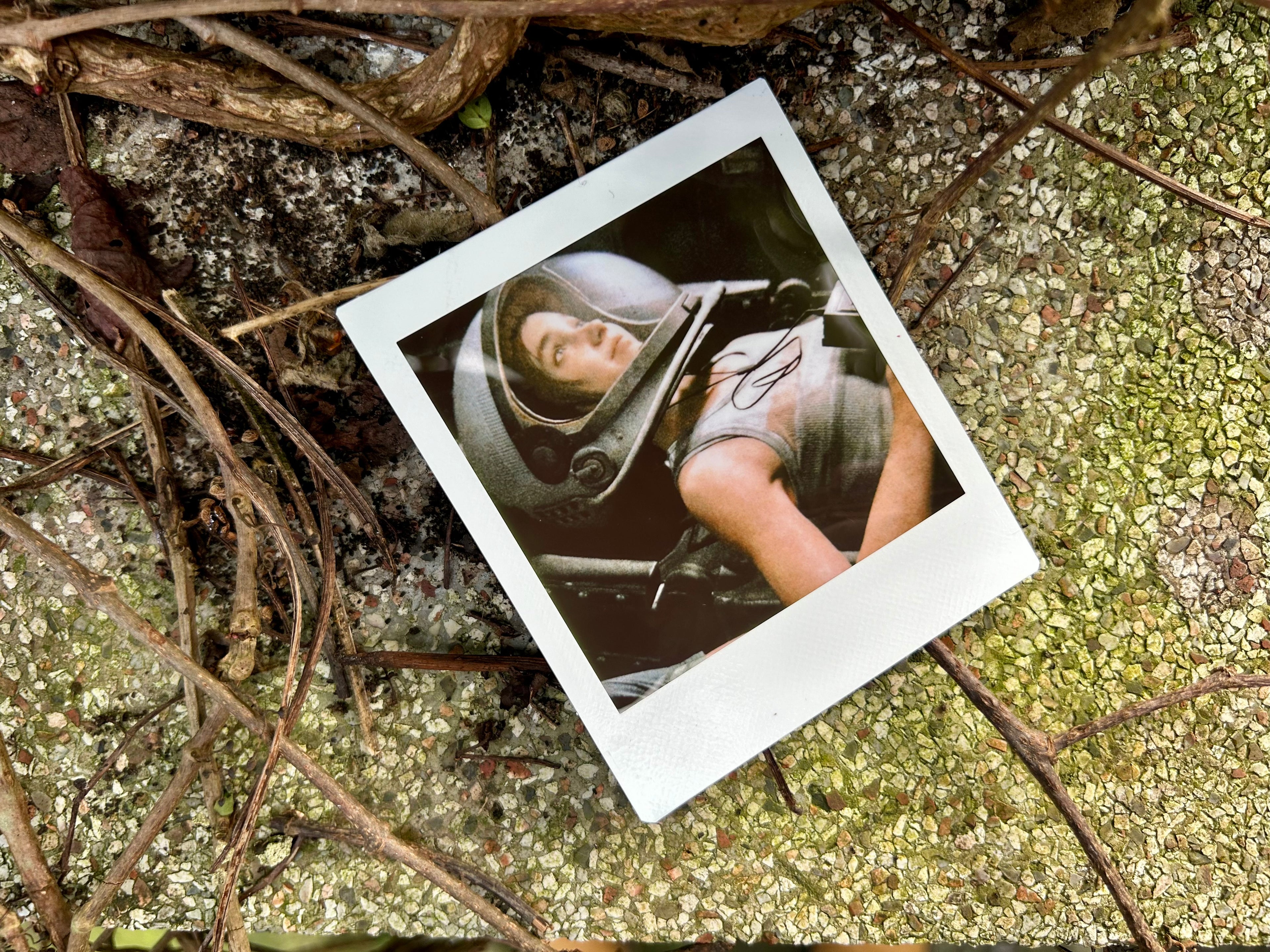 “Close Your Eyes” - Polaroid