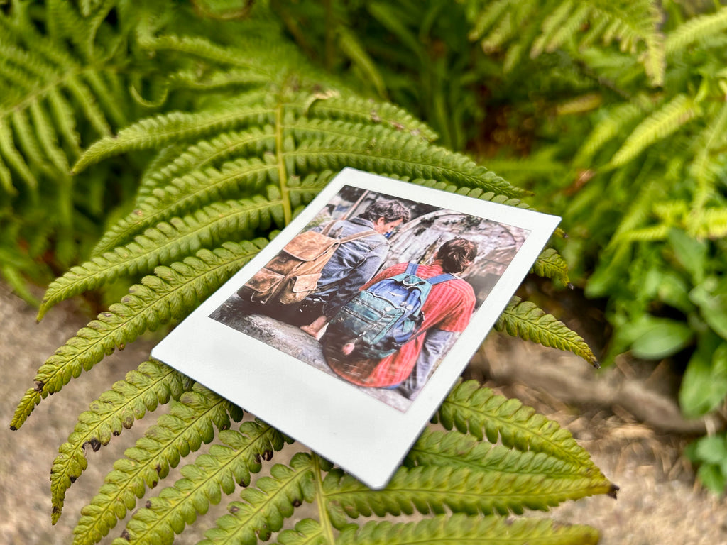 “It’s Wasn’t Time That Did It” -  Polaroid (TV Series)