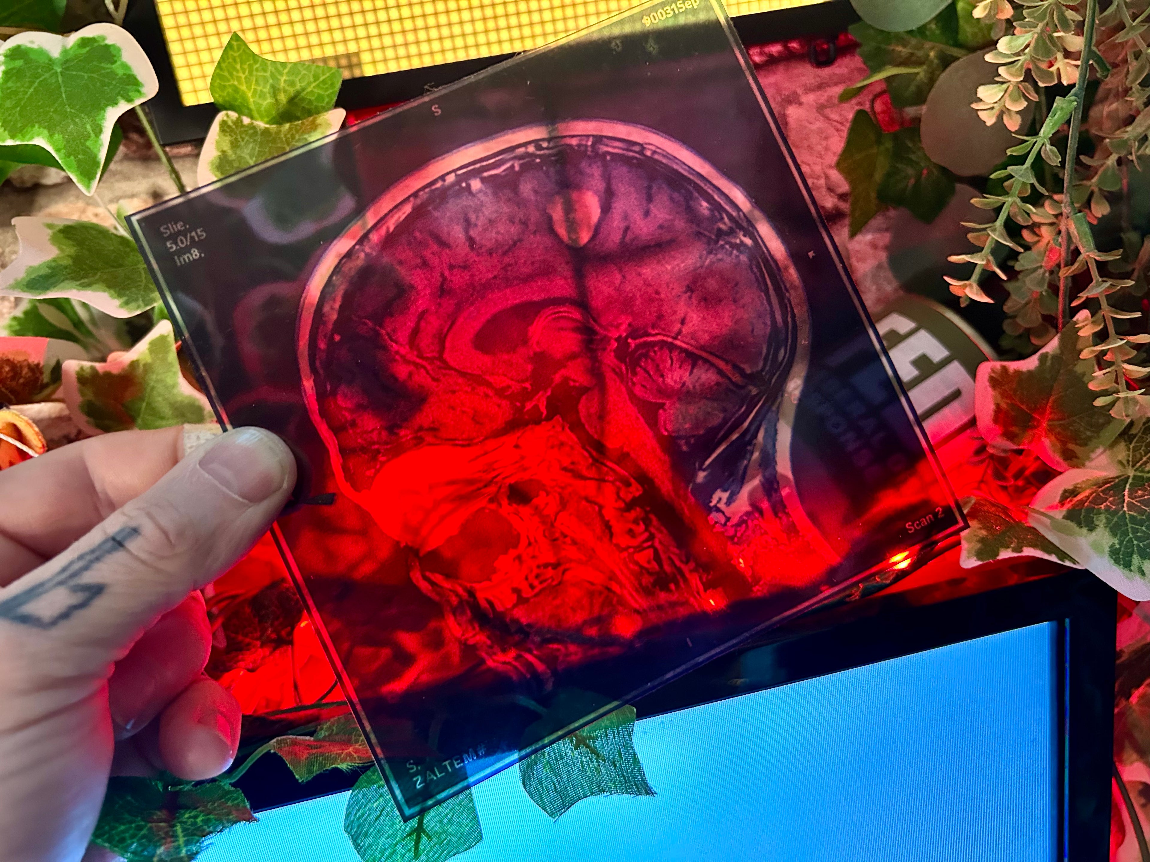 Brain Scan Props