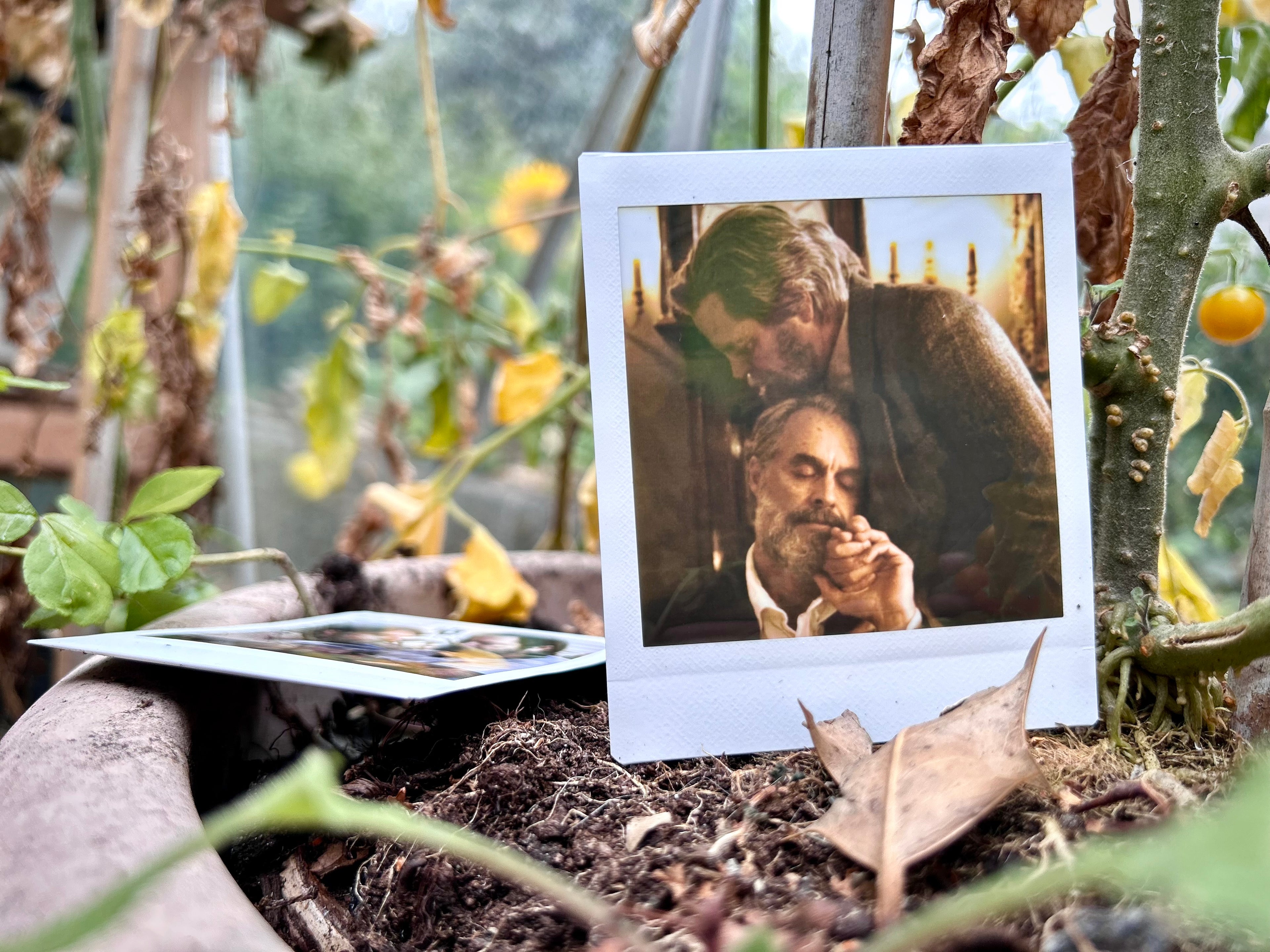 What If? - Polaroids (TV Series)