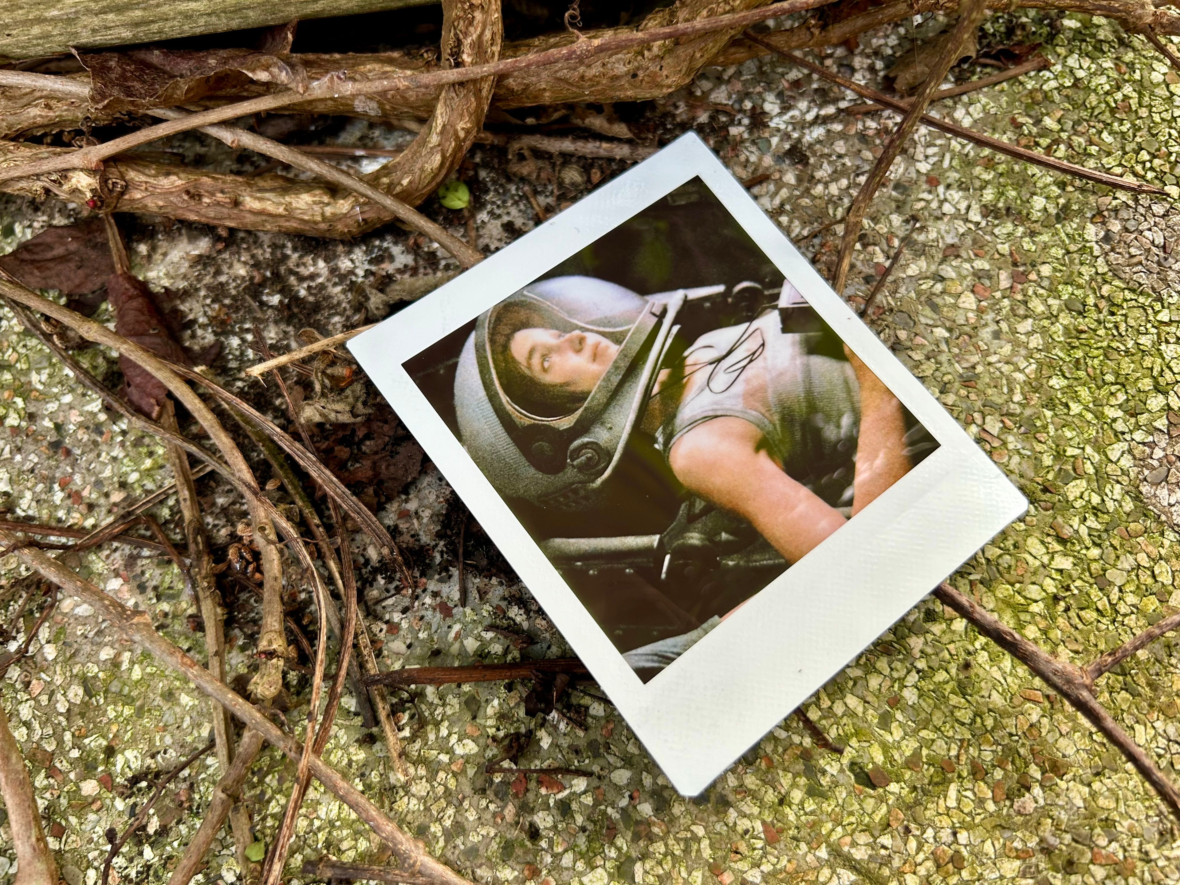 “Close Your Eyes” - Polaroid