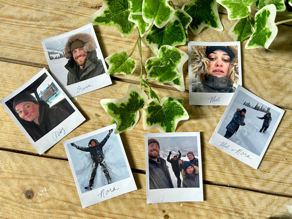 The Wolves - Polaroid Style Prints 2 (TV Series)