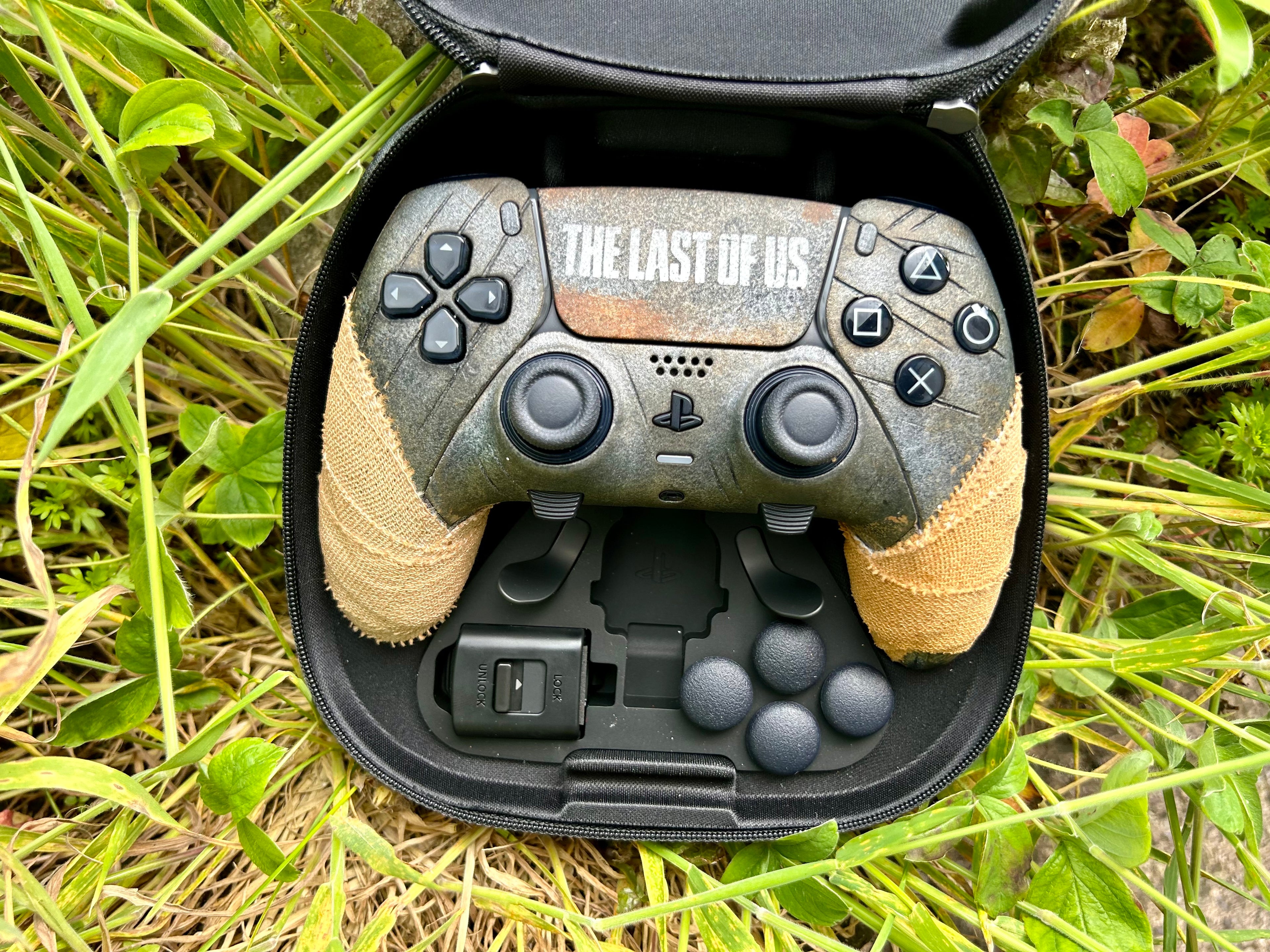 The Custom Pro Controller (Preorder)