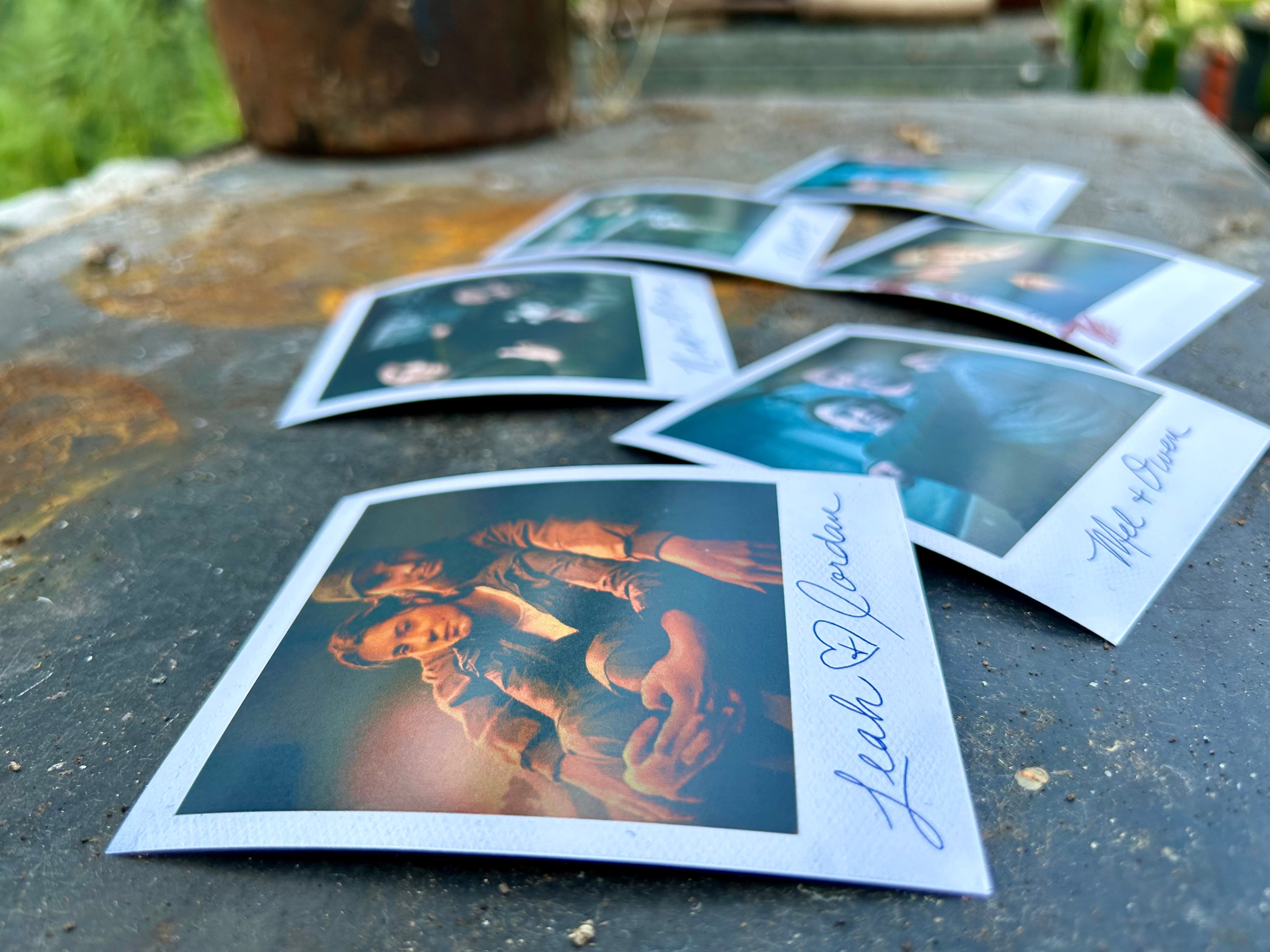 The Wolves - Polaroid Style Prints
