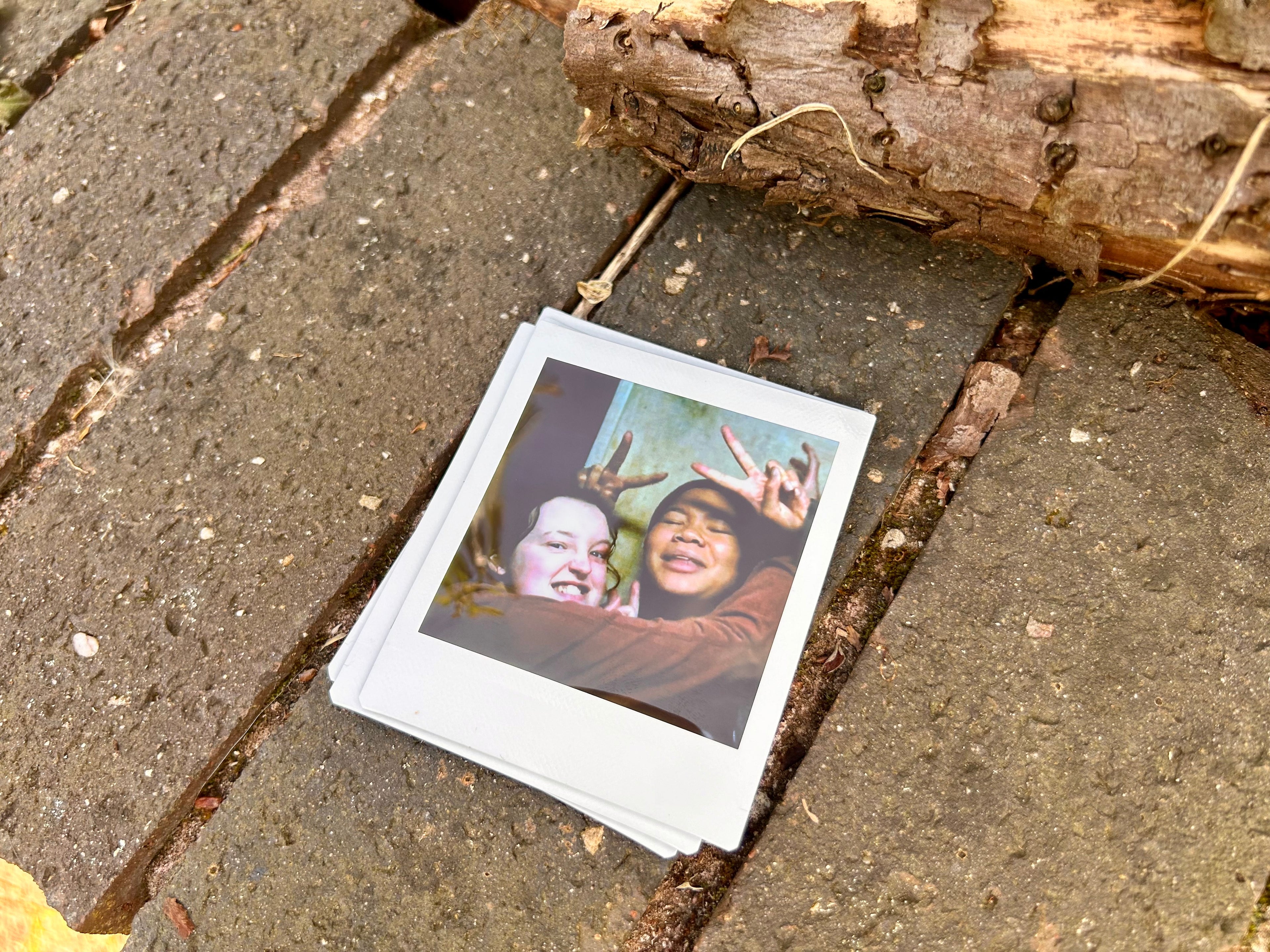 Bunny Ears - Polaroid (TV Series)