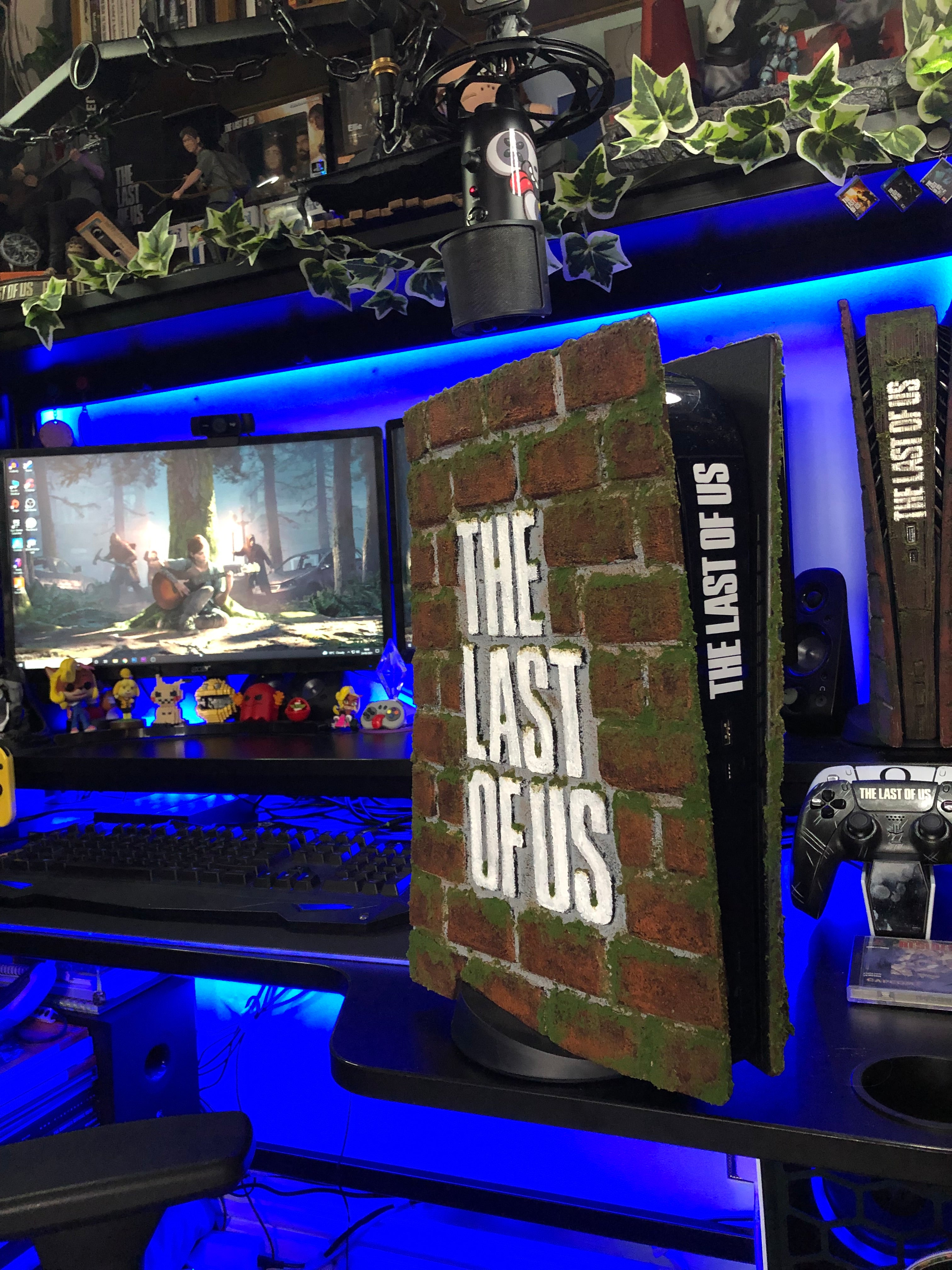 Custom PS5 Plates (Preorder)