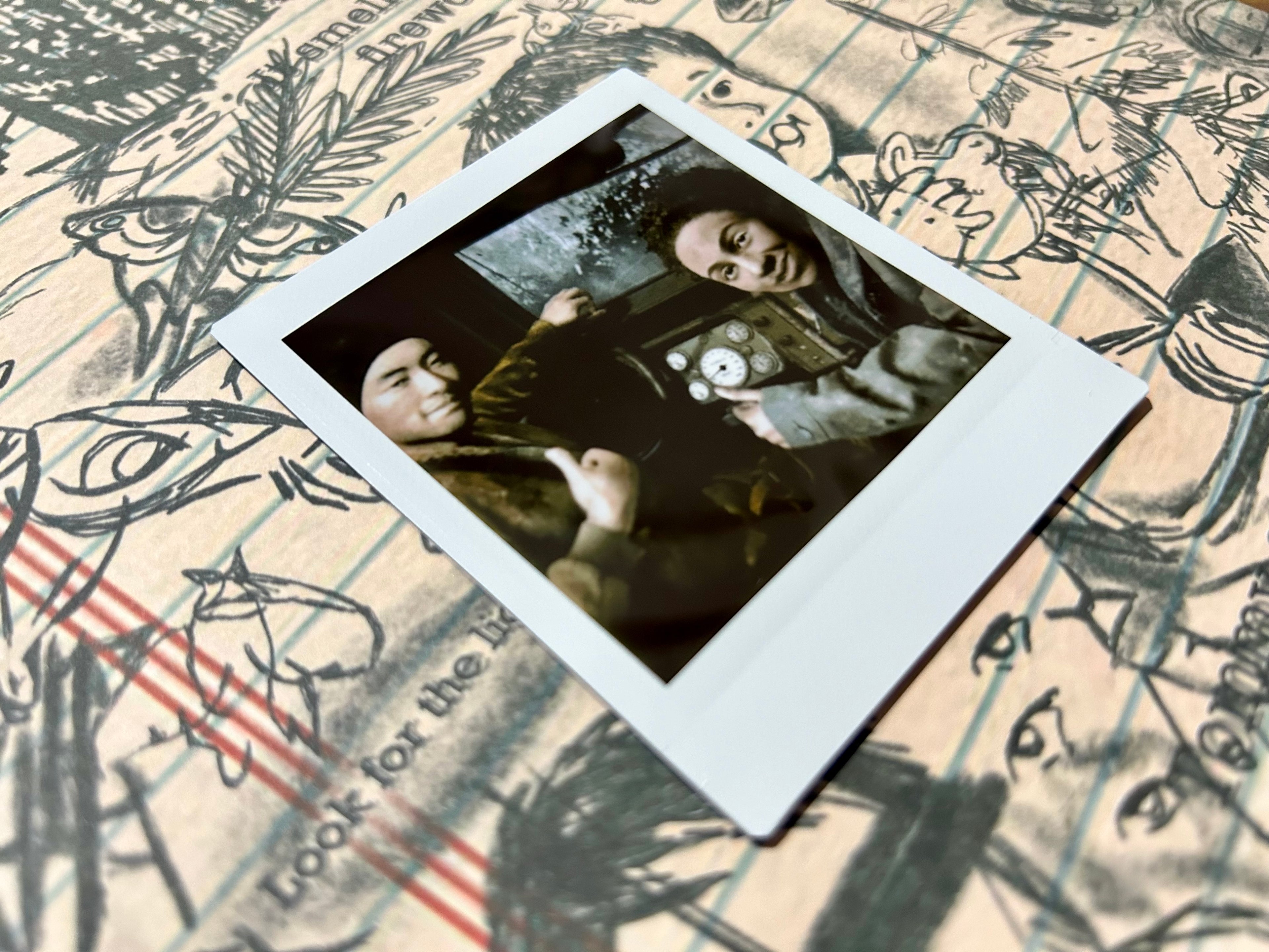 “I Hear Them Every Night” - Polaroid