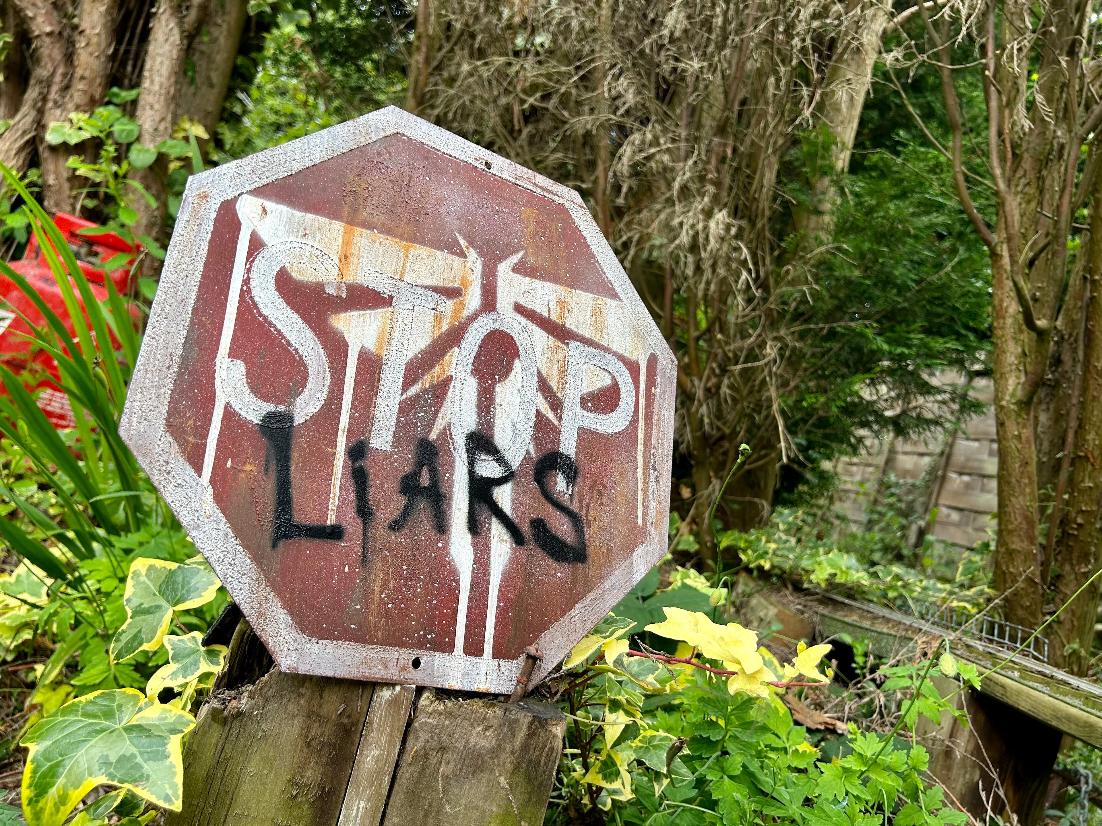 The Liars Sign