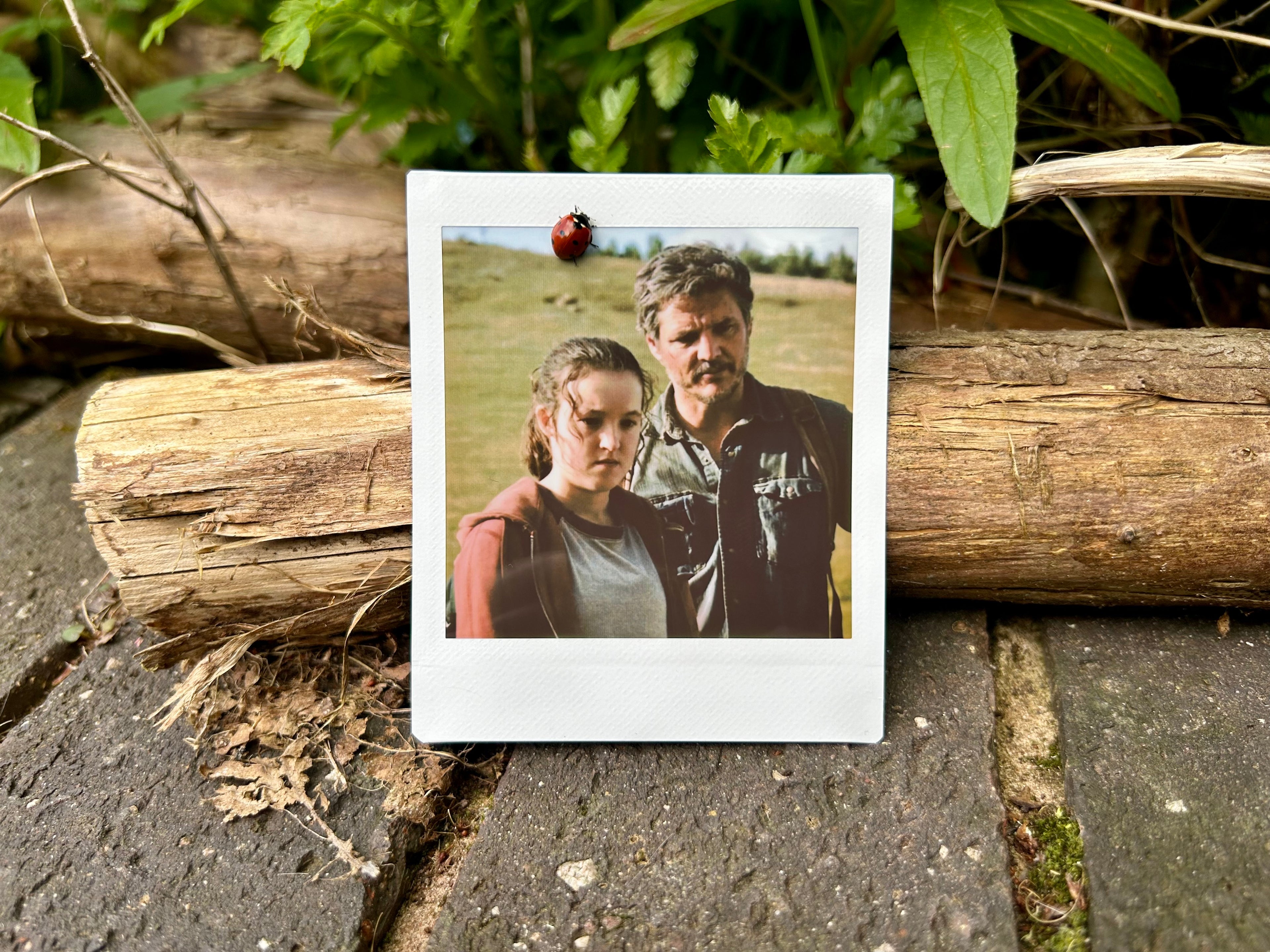 “It Was Him Or Me” - Polaroid (TV Series)