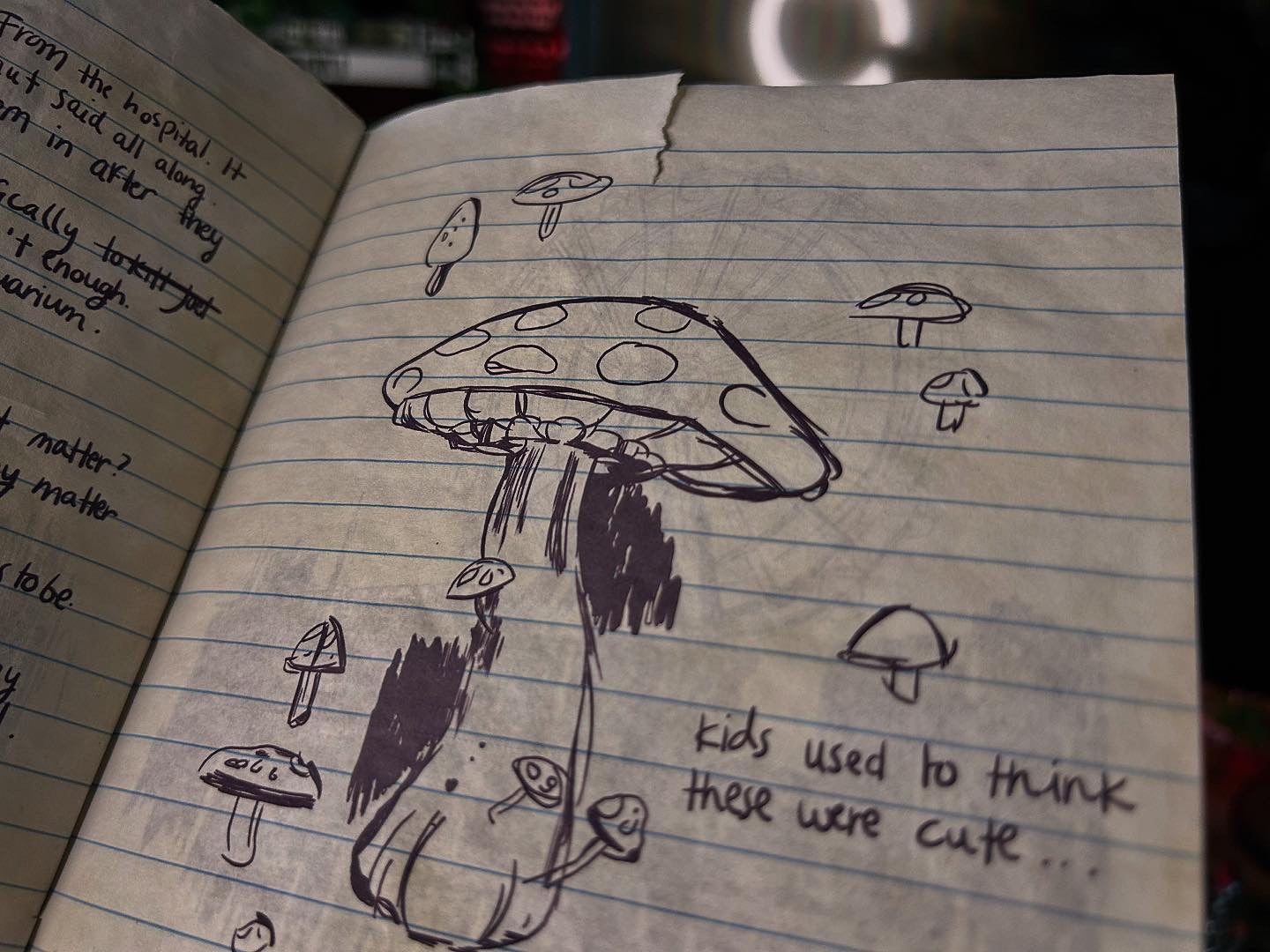 The Journal