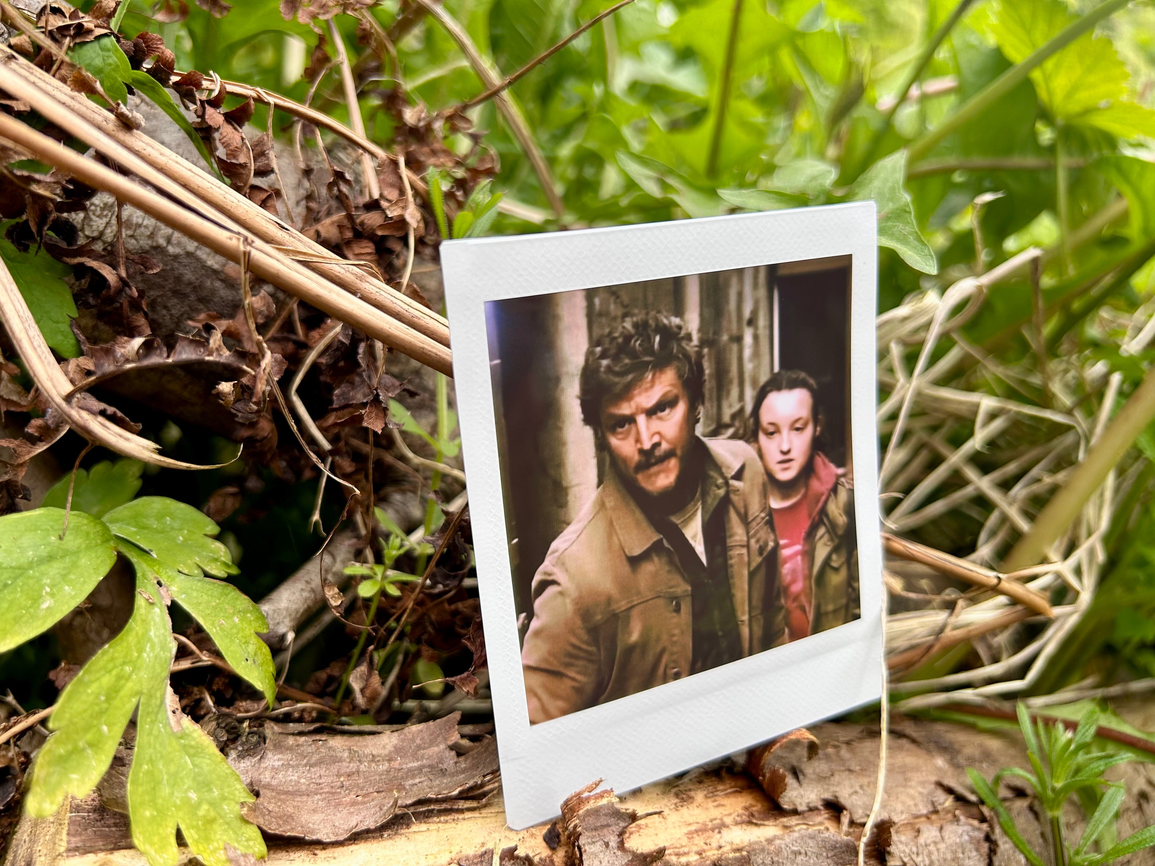 “What You Say Goes” - Polaroid (TV Series)