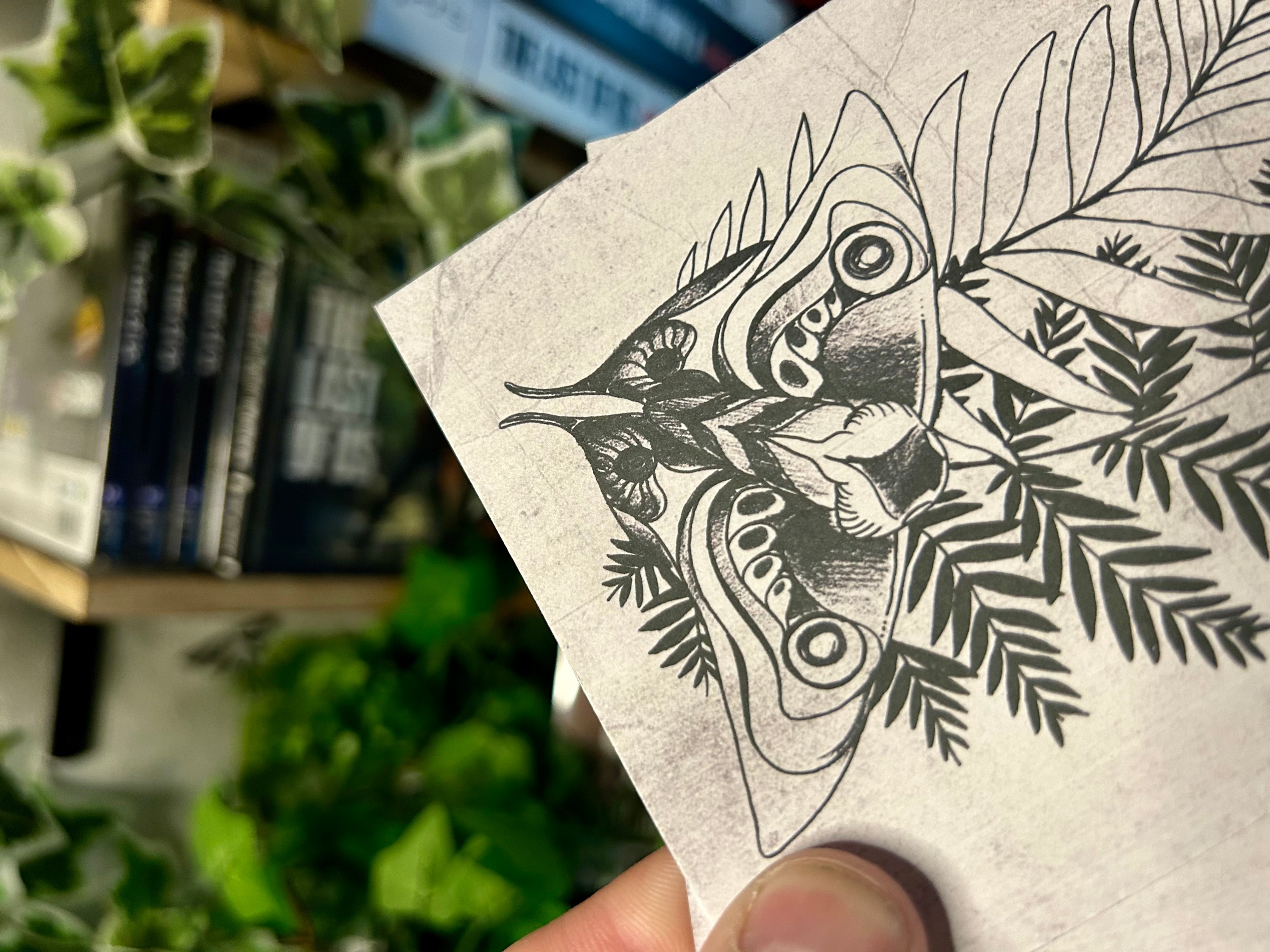 “The Moth” - Print