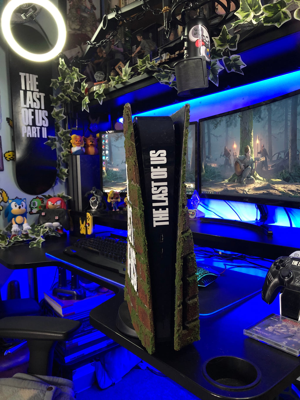 Custom PS5 Plates (Preorder)
