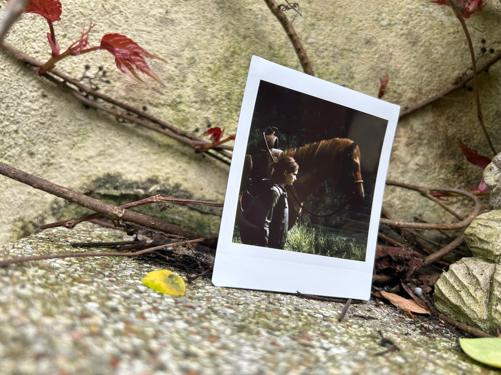 “Patrol” - Polaroid