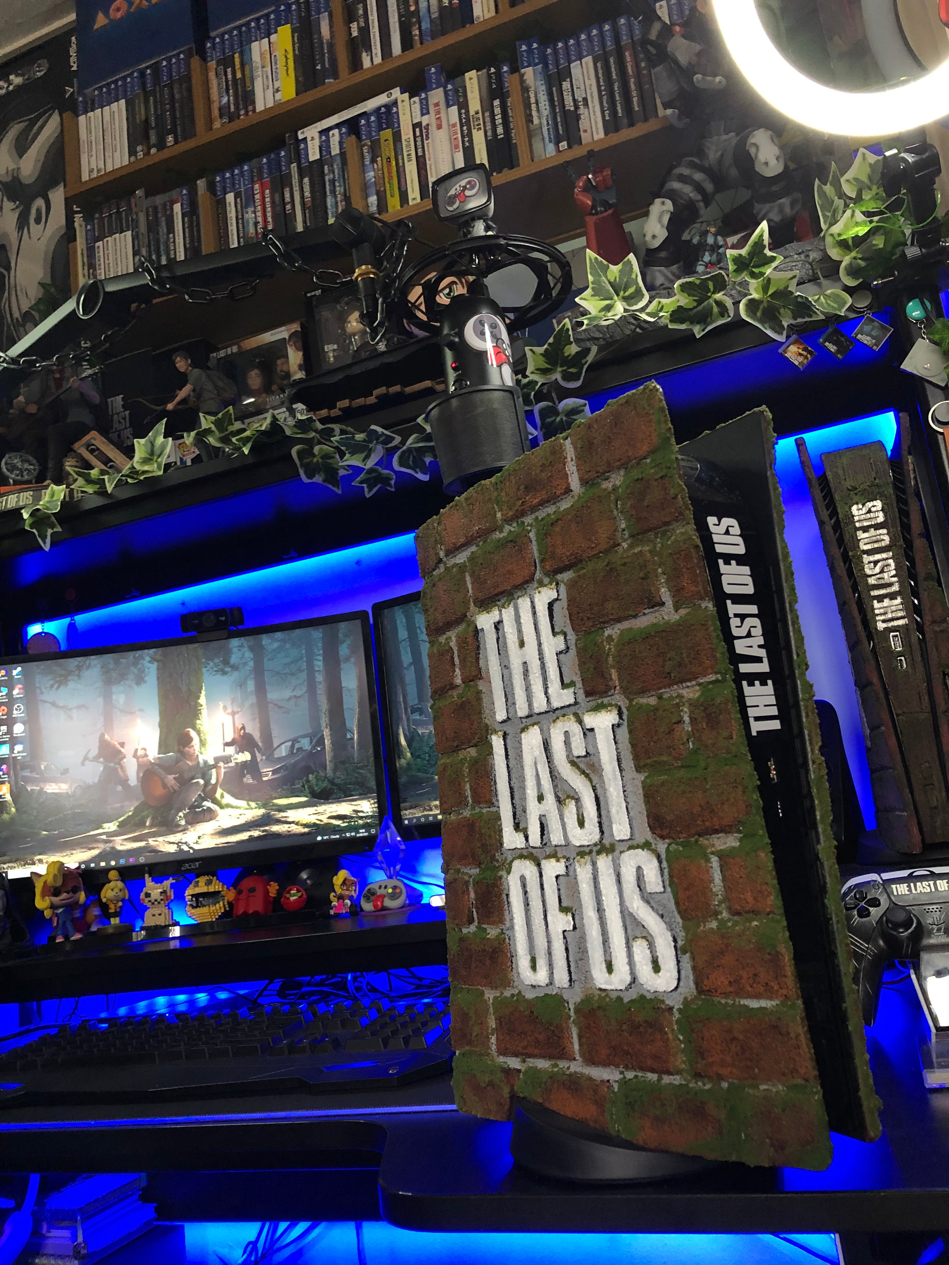Custom PS5 Plates (Preorder)