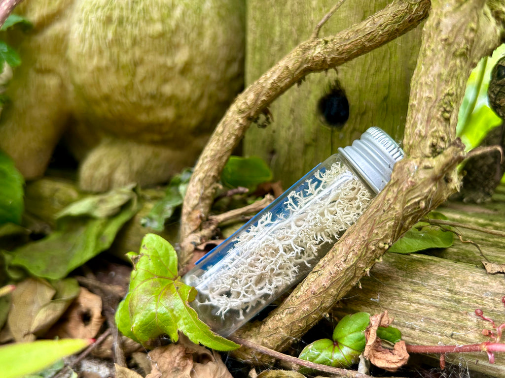 Fungus Sample Prop